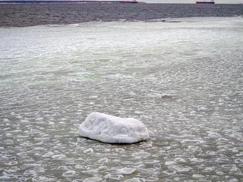 Coast of the Baltic Stock Photos