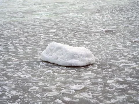 Coast of the Baltic Stock Photos