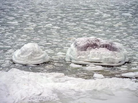 Coast of the Baltic Stock Photos