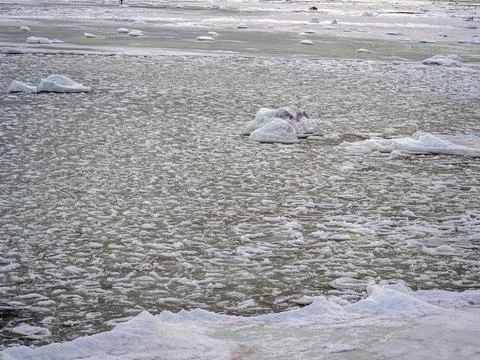 Coast of the Baltic Stock Photos