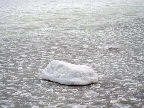 Coast of the Baltic Stock Photos