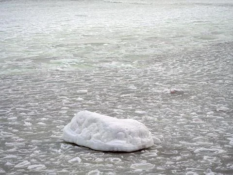 Coast of the Baltic Stock Photos
