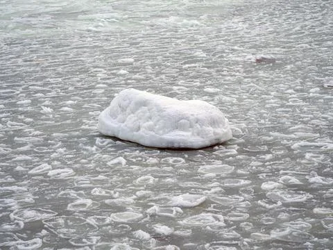 Coast of the Baltic Stock Photos