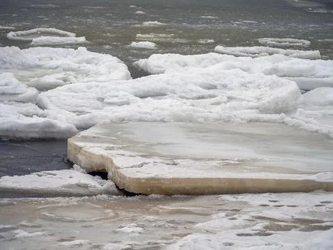 Coast of the Baltic Stock Photos