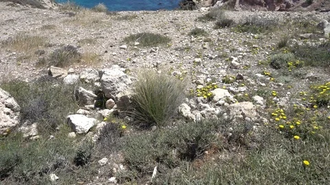 The coast in the blacks of almeria Stock Footage 90167415