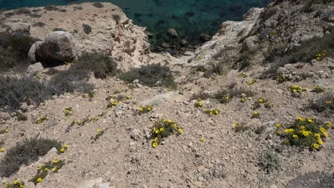 The coast in the blacks of almeria Stock Footage 90170583
