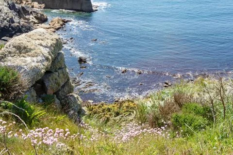 Coast in Brittany Stock Photos