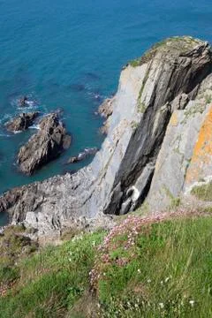 Coast at Burgh Island, Devon Stock Photos