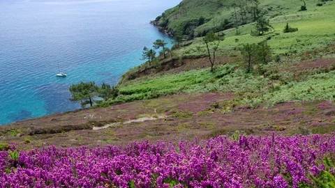 Coast on Cap de la Chevre in Brittany, France Stock Footage 83587920