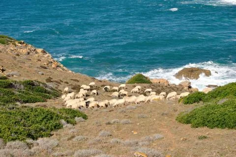 Coast of Capo Pecora Stock Photos