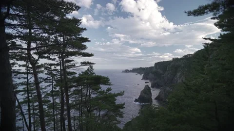 Coast Cliff Stock Footage 230697080