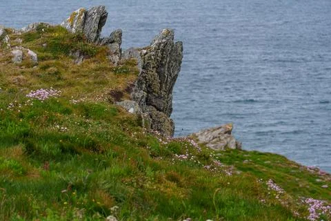 The coast of cornwall in england Stock Photos