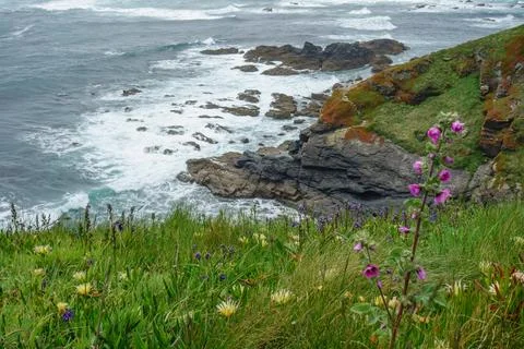 At the coast of cornwall Fotos Stock