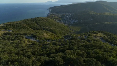 The coast of dense green forest Stock Footage 96996788