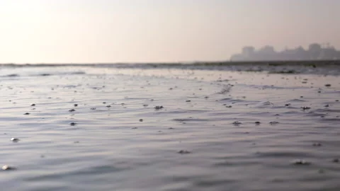 Coast easy waves at sunset with city at the background. Stock Footage 233992302