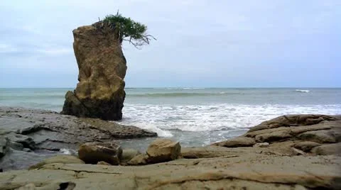 Coast of ecuador Stock Footage 10838766