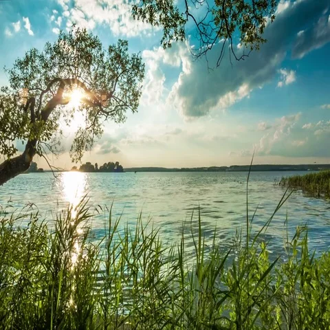 Coast of evening lake Stock Footage 69415838