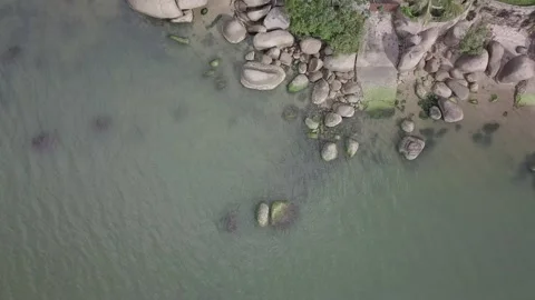 Coast in Florianópolis 库存影片 145955977