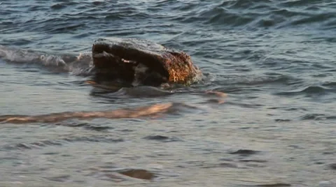 Coast Stock Footage 8685800