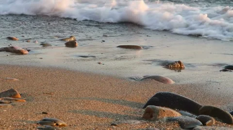 Coast Stock Footage 8685824