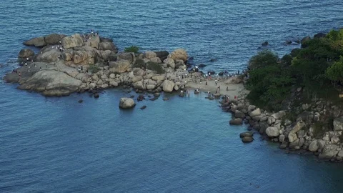 Coast 動画素材 106655586