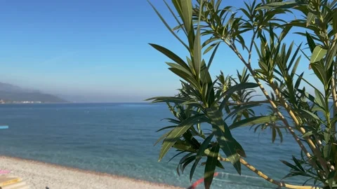 Coast 库存影片 231898635