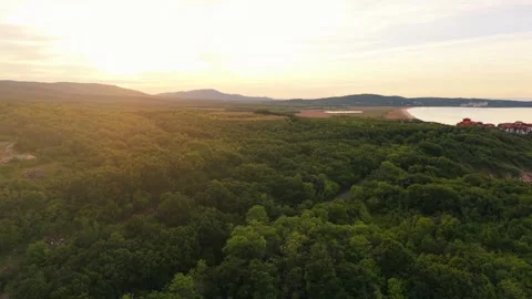 Coast Forest Sunset Golden Hour Black Sea 库存影片 336516959