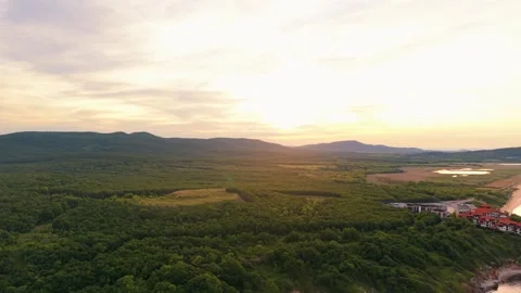 Coast Forest Sunset Golden Hour Black Sea 库存影片 336517062