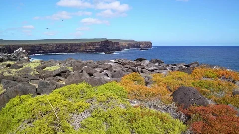 Coast Galapagos Island Stock Footage 85391553