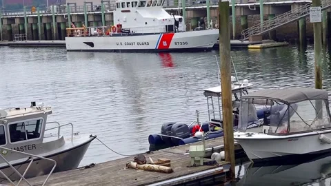 Coast Guard and Harbor Master boat in harbor Stock Footage 336883113