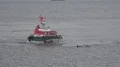 Coast guard lifeboat rescue demonstration at rainy cloudy day Bremerhaven harbor 4k or 4k+ Resolution