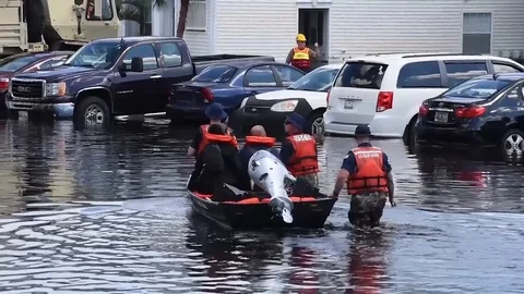 Coast Guard response to Hurricane Florence in South Carolina - 2018 Stock Footage 102110992