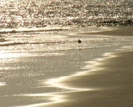 Coast impression Stock Footage 88530