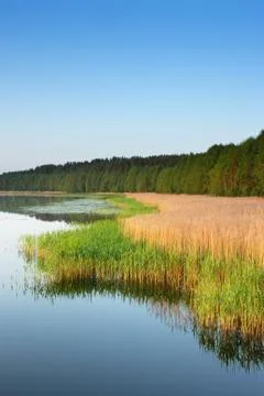 Coast of lake Stock Photos