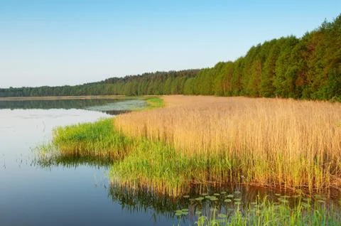 Coast of lake Stock Photos