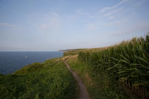 Coast landscape. Stock Photos
