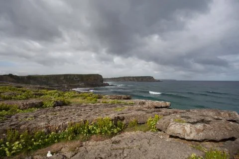 Coast landscape. Stock Photos