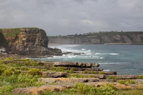 Coast landscape. Stock Photos