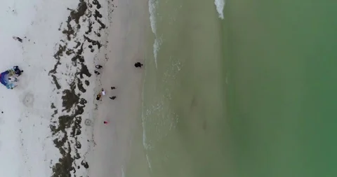 Coast line Vidéo 89978637