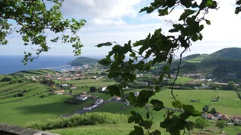 Coast line green pasture field faial azores portugal 4k Stock Footage