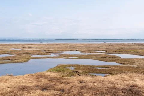 Coast of lsle-Verte Stock Photos