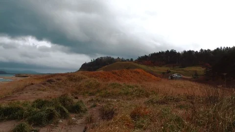 Coast of the ocean, Autumn  Stock Footage 84005910