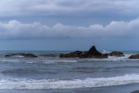 The coast of the Pacific Ocean, large cliffs and islands near the shore. Ol.. Stock Photos