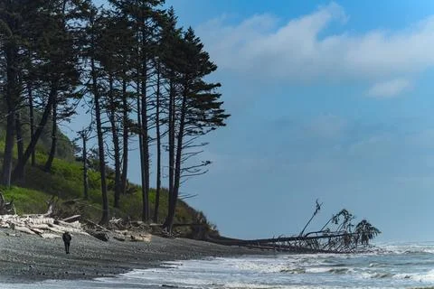 The coast of the Pacific Ocean, large cliffs and islands near the shore. Ol.. Stock Photos