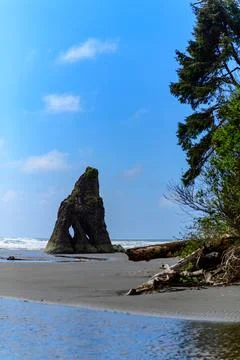 The coast of the Pacific Ocean, large cliffs and islands near the shore. Ol.. Stock Photos