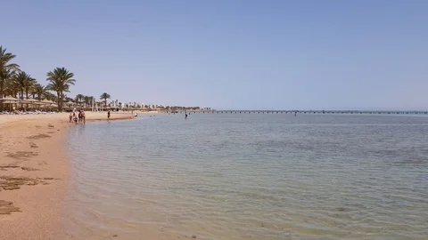 Coast with palm trees and sandy beach Stock Footage 129887852