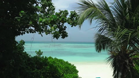 Coast with palm trees, white sand and turquoise ocean. Stock-Footage 238478095