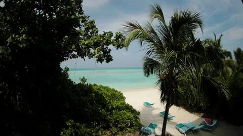 Coast with palm trees, white sand and turquoise ocean. Stockbeeldmateriaal 238479124
