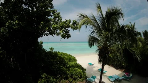 Coast with palm trees, white sand and turquoise ocean. Stock Footage 238479189