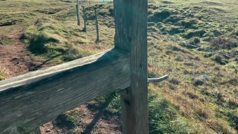 Coast path stile at Giltar Point looking towards Caldey Island Stock Footage 239525535